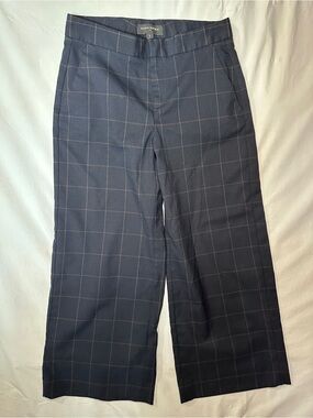 Banana Republic Navy Trousers with Tan Windowpane